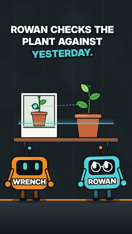 Rowan checks the plant against yesterday. — cartoon poster